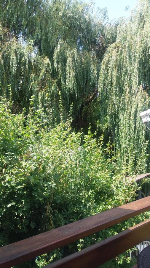 Vakacio Apartman Balatonalmádi Dış mekan fotoğraf